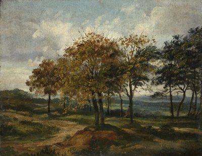 Paesaggio boscoso da Thomas Churchyard