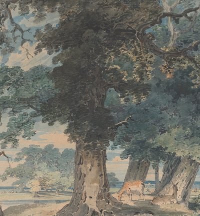 Cervi nella foresta di Windsor, 1793-94 da Thomas Girtin