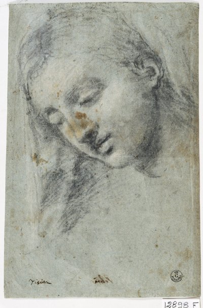 Testa di una donna da Titian (c.1488 1576)