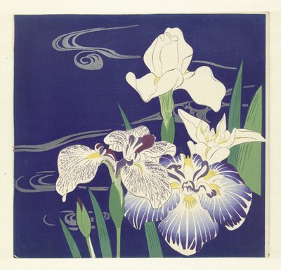 Iris da Tsukioka Kogyo