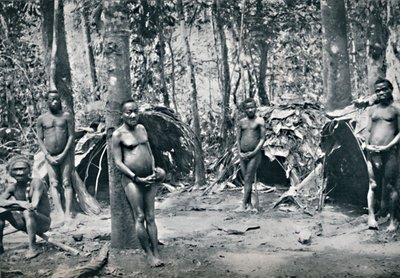 Villaggio pigmeo, Bacino del Congo nord-orientale, 1912 da Unbekannt