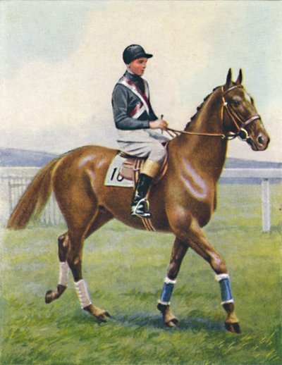 Battleship, Jockey: B. Hobbs, 1939 da Unbekannt