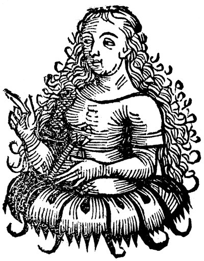 Sibilla Cimmeria, 1493 da Unbekannt