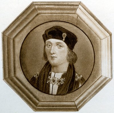 Enrico VII d