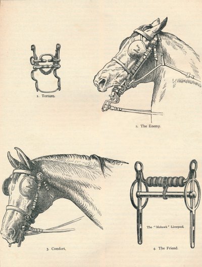 Morsi di cavallo, buoni e cattivi, c1909 c1910 da Unbekannt