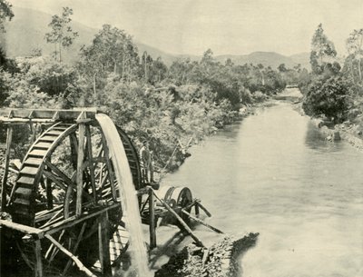 Nel fiume Ovens, Germantown, 1901 da Unbekannt