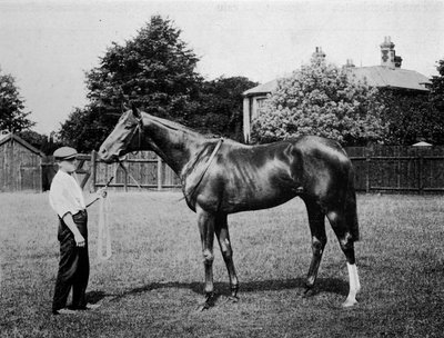 Stella Polare, 1911 da Unbekannt