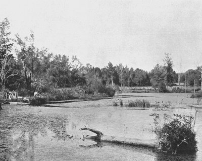 Scena in Mississippi, USA, c1900 da Unbekannt