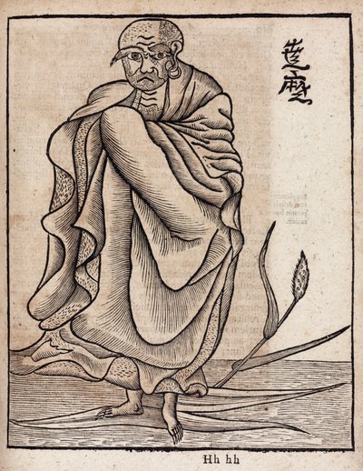 Ritratto di Bodhidharma da Unbekannt