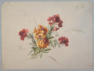 Disegno per Carta da Parati e Tessuto: Fiori da Unknown artist