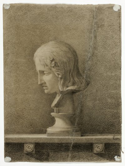 Busto di Giovane Uomo in Marmo da Unknown artist