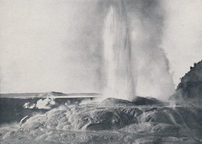 Geyser, Nuova Zelanda da Valentine and Sons Ltd