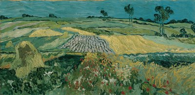 La pianura di Auvers da Vincent van Gogh