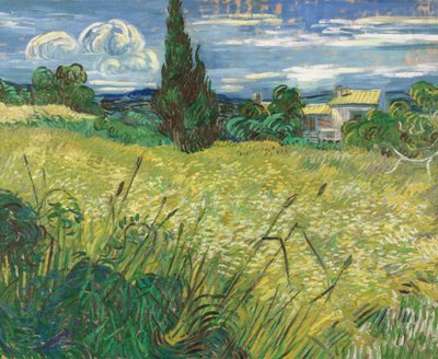 Campo di grano verde con cipresso da Vincent van Gogh