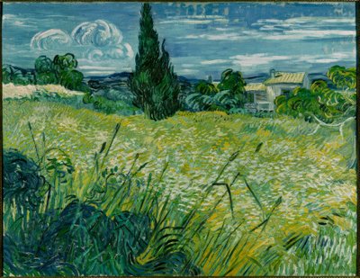 Campo di grano verde con cipresso da Vincent van Gogh