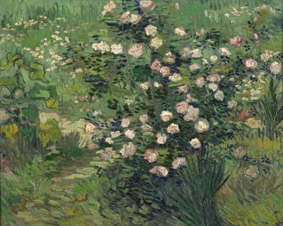 Rose da Vincent van Gogh