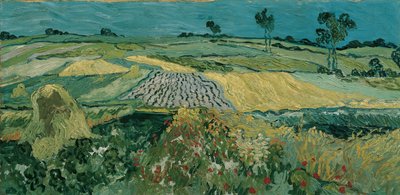 La pianura di Auvers, 1890 da Vincent van Gogh