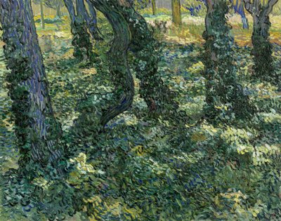 Sottobosco, 1889 da Vincent van Gogh