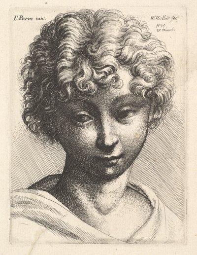 Testa di una giovane ragazza, 1645 da Wenceslaus Hollar