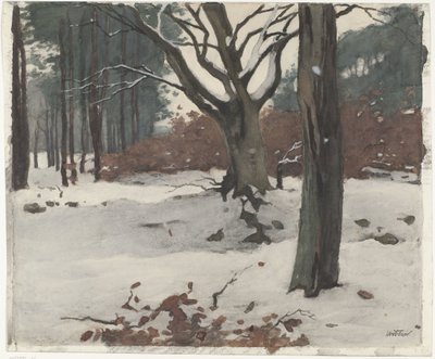 Alberi nella neve da Willem Arnoldus Witsen