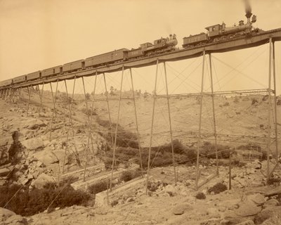 Ponte di Dale Creek, Wyoming di Jackson da William Henry Jackson