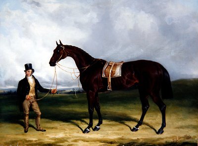 Bay Middleton, vincitore del Derby da William Joseph Shayer