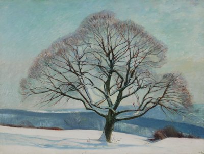 Albero in inverno da William Rothenstein