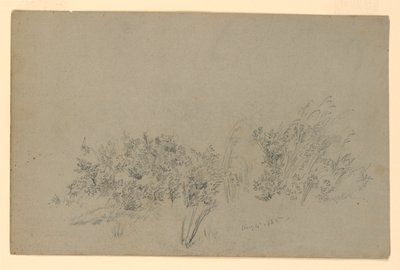 Studio di Foliage da William Trost Richards