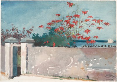 Un muro, Nassau da Winslow Homer