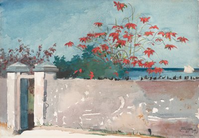 Un muro, Nassau, 1898 da Winslow Homer