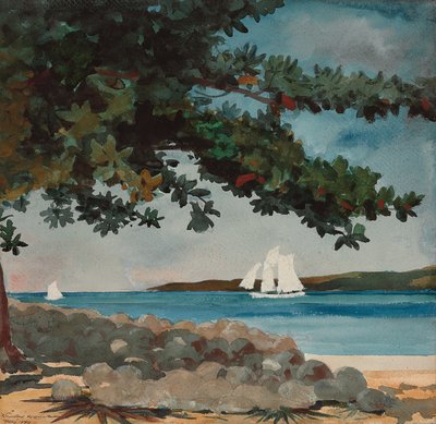 Nassau: acqua e barca a vela da Winslow Homer