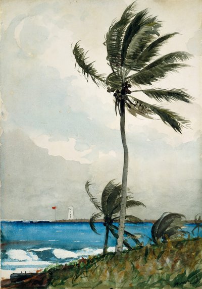 Palma, Nassau, 1898 da Winslow Homer