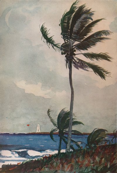 Palme, Nassau, 1898, 1932 da Winslow Homer