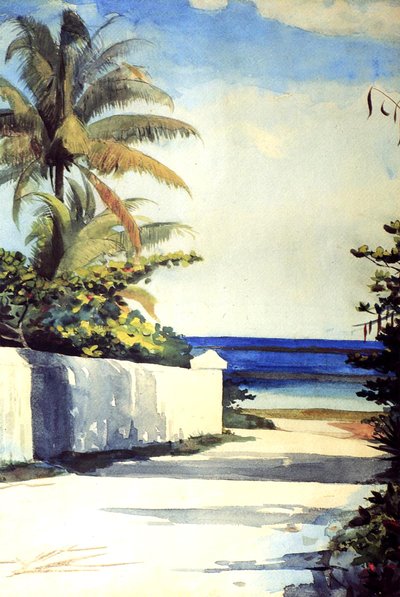 Strada a Nassau, 1898-99 da Winslow Homer