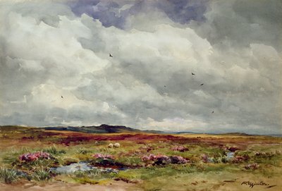 Una giornata ventosa, Dartmoor da Wycliffe Egginton