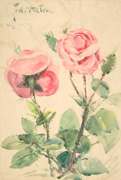 Due rose, ca. 1884-1904 da Zacharie Astruc