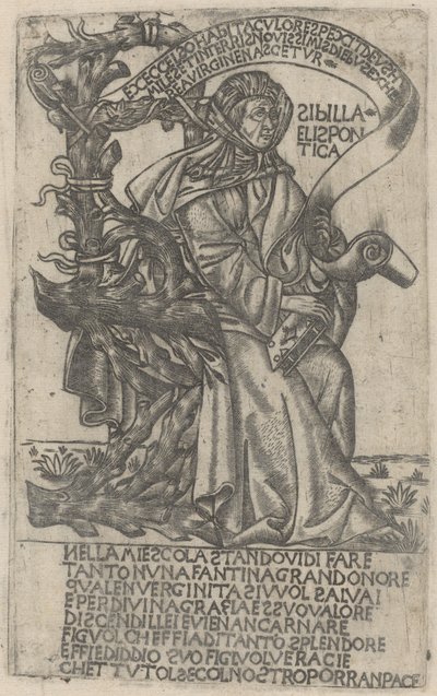 Sibilla Ellespontica da after Baccio Baldini