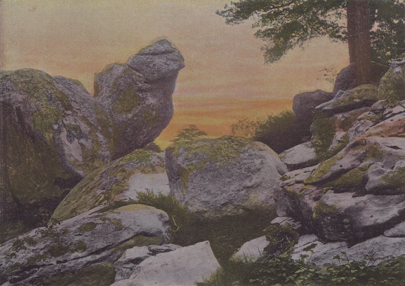 Rochers du mont Ussy (foto colorata) da (after) French Photographer