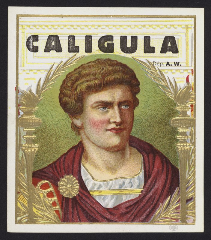 Caligola da American School