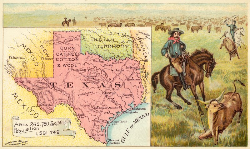 Texas, USA da American School