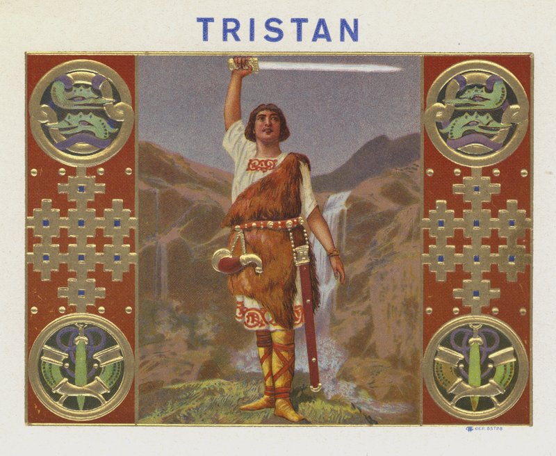 Tristan da American School