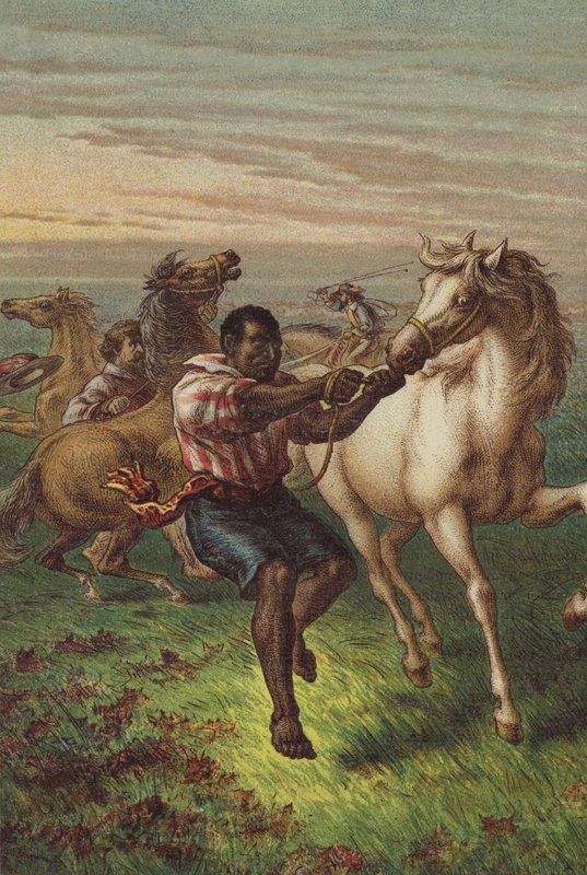 I soldati di Garibaldi domano cavalli selvaggi da English School