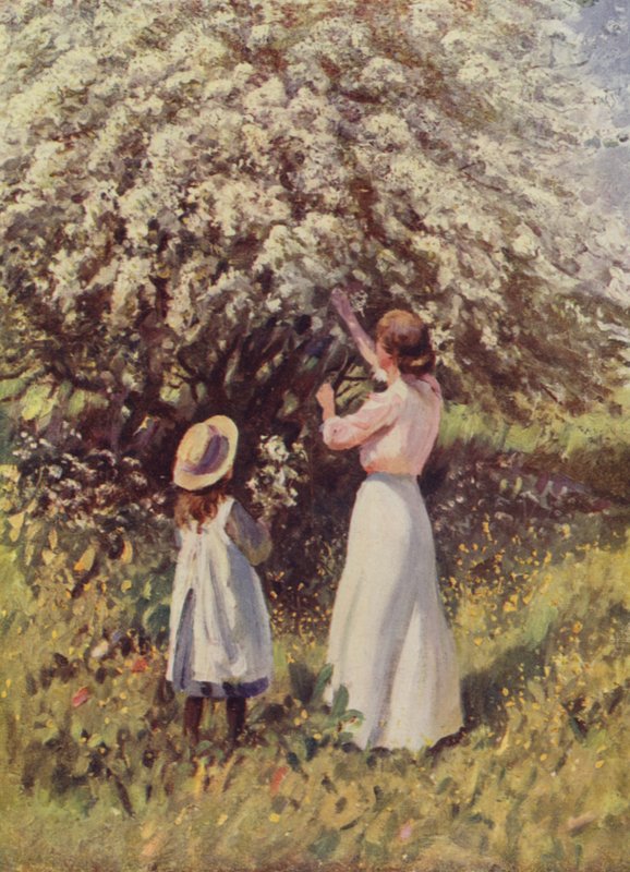 Fioritura di maggio da English School