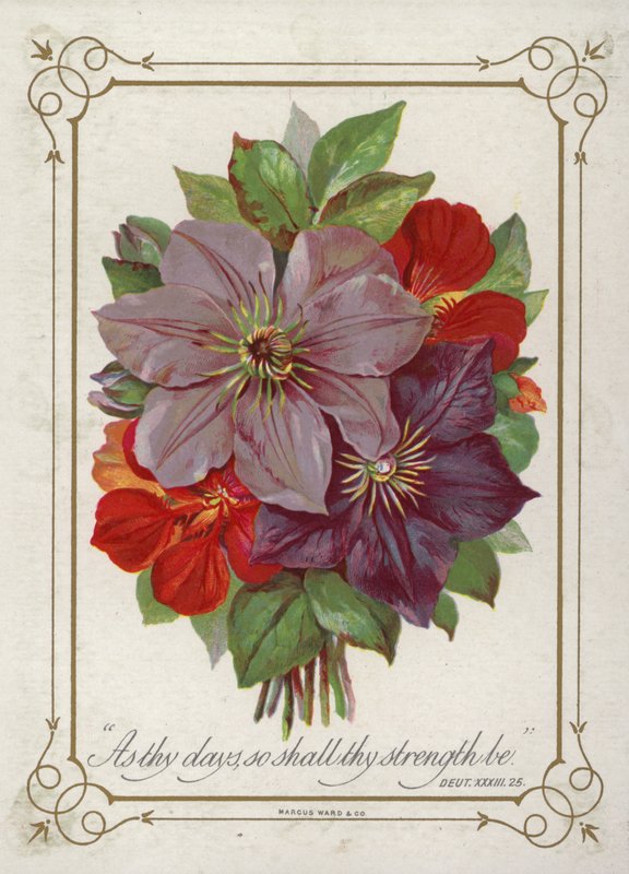 Mazzo di fiori da English School