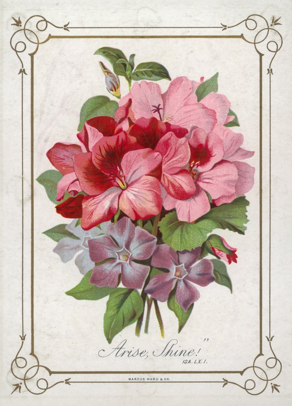 Mazzo di fiori da English School