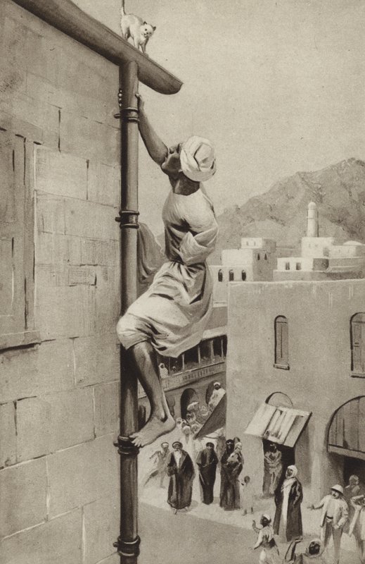 Walter Greenway scala un tubo, con un braccio, per salvare un gatto in difficoltà da English School