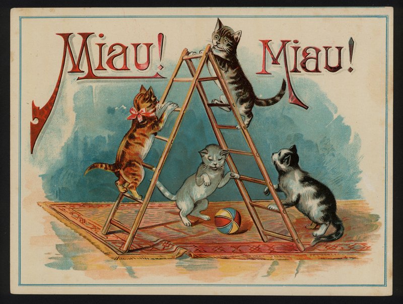 Miau! Miau! da European School