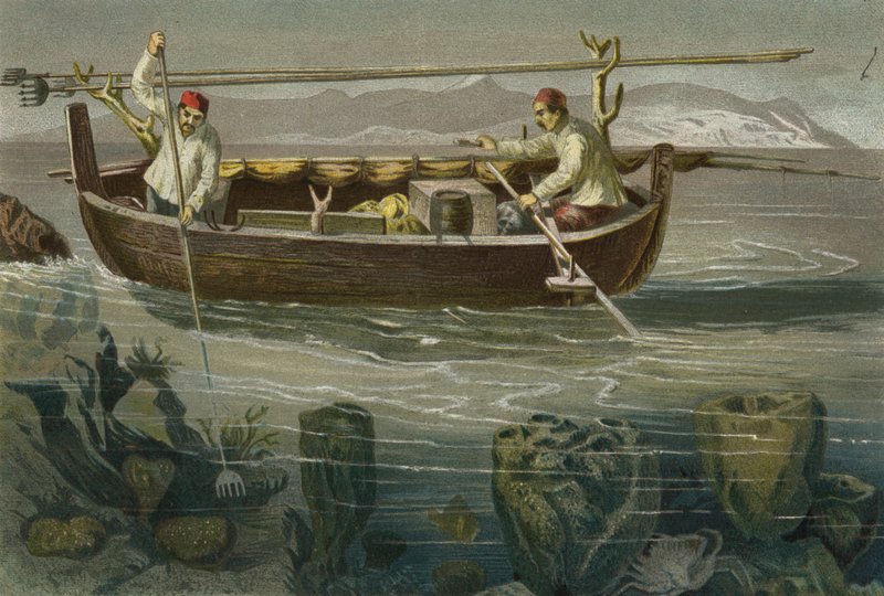 Pesca di spugne sulla costa dalmata da European School