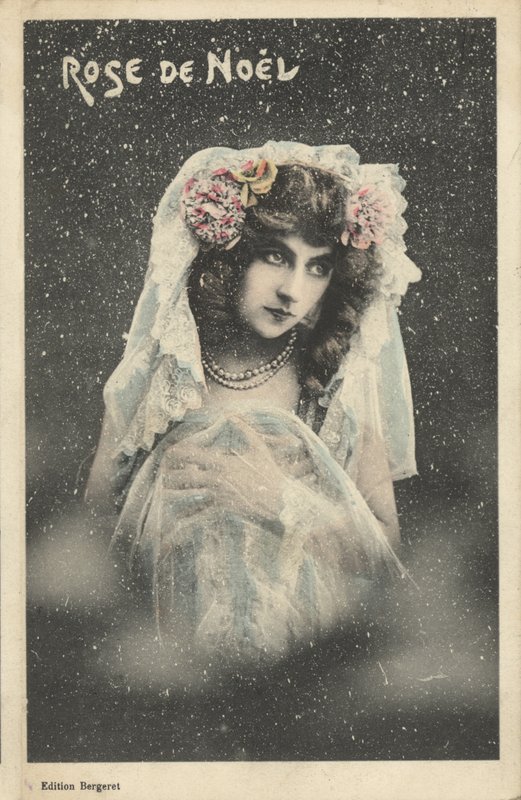 Rosa di Natale da French Photographer