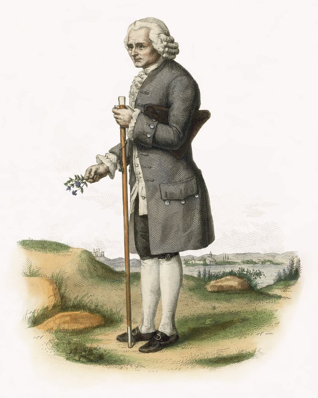 Jean Jacques Rousseau da French School